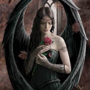 Meet your Posher, Ceirra